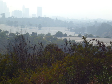 Enlarge photo 52
