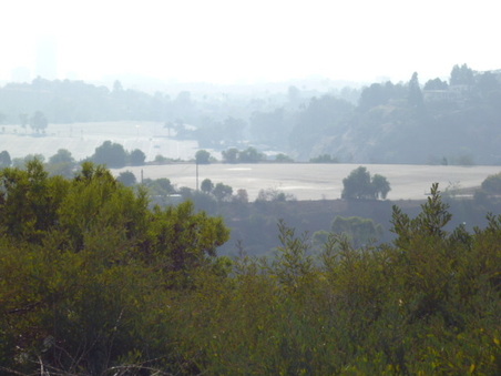 Enlarge photo 53