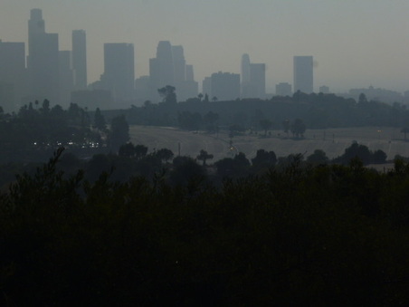 Enlarge photo 54