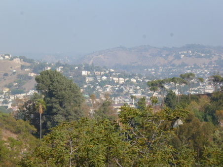 Enlarge photo 55