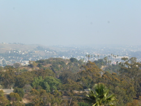 Enlarge photo 56