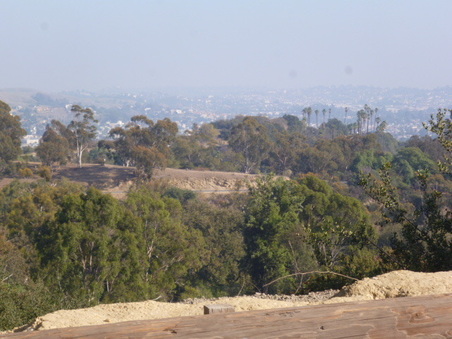 Enlarge photo 58