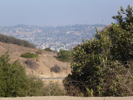 Enlarge photo 59