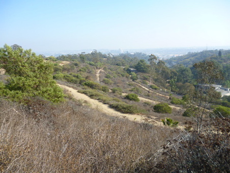 Enlarge photo 61