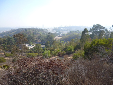 Enlarge photo 62