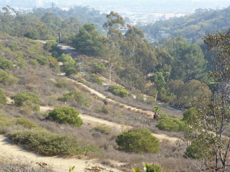 Enlarge photo 65