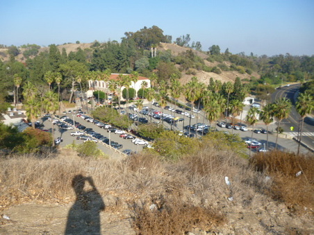 Enlarge photo 66