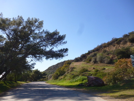 Enlarge photo 105