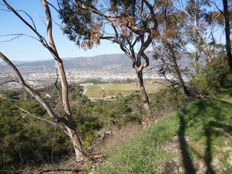 Enlarge photo 107