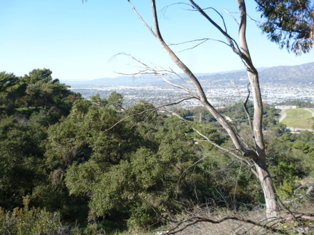 Enlarge photo 108