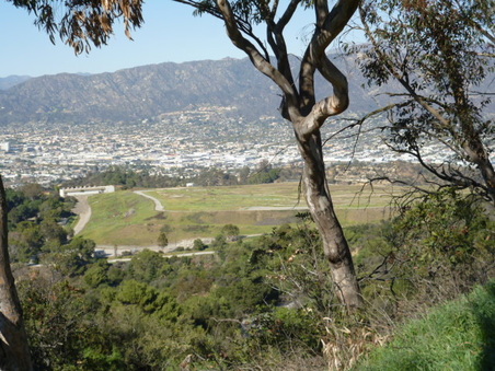 Enlarge photo 109