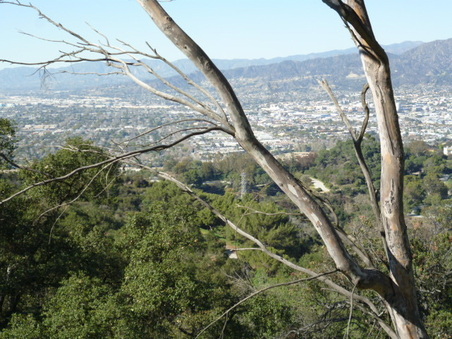 Enlarge photo 110