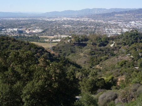 Enlarge photo 115