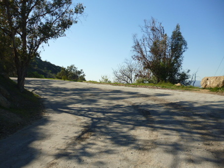 Enlarge photo 23