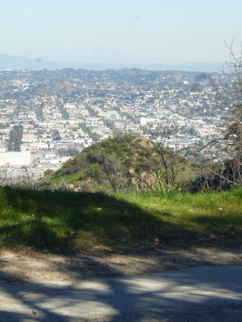 Enlarge photo 32