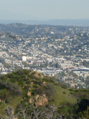 Enlarge photo 36