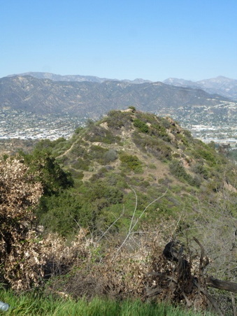 Enlarge photo 37