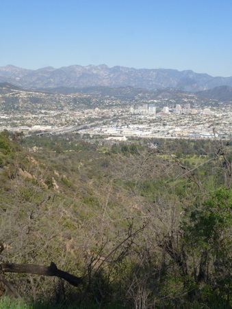 Enlarge photo 38