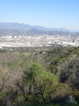 Enlarge photo 39
