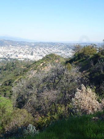 Enlarge photo 40