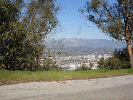 Enlarge photo 41