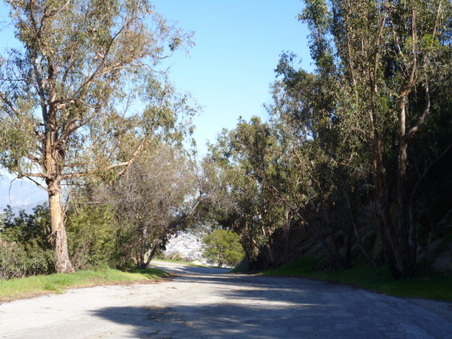 Enlarge photo 42