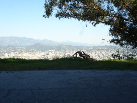Enlarge photo 43
