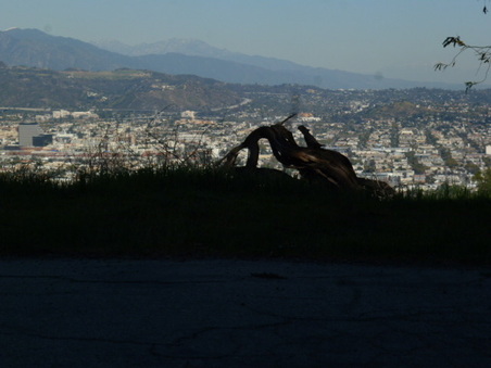 Enlarge photo 44