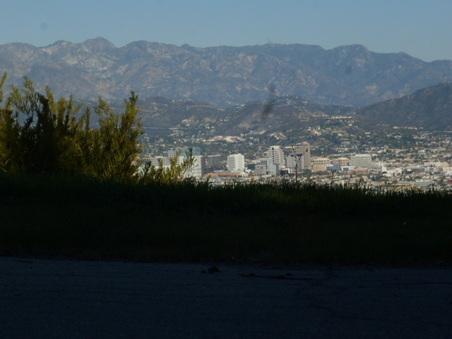 Enlarge photo 45