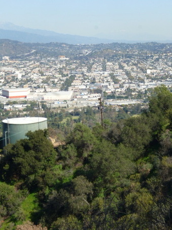Enlarge photo 46