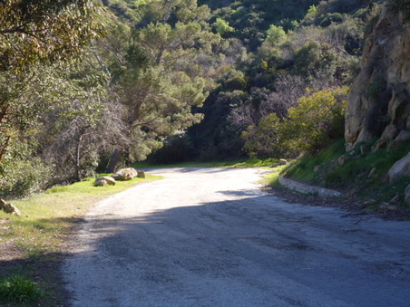 Enlarge photo 51