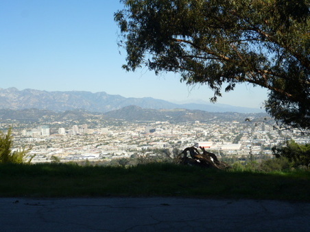 Enlarge photo 52