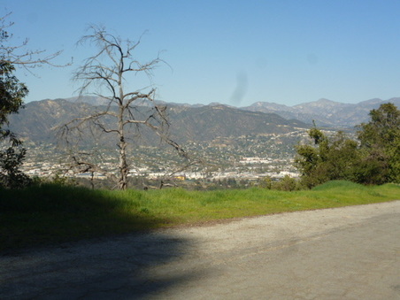 Enlarge photo 53