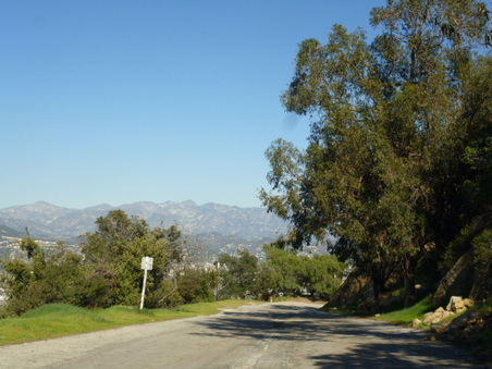 Enlarge photo 54