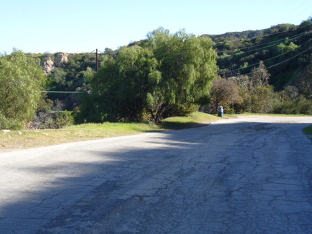 Enlarge photo 56