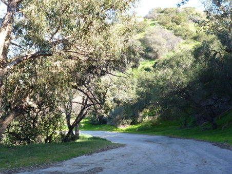 Enlarge photo 58
