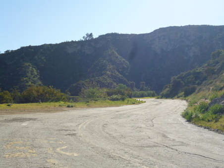 Enlarge photo 59