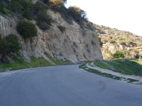 Enlarge photo 61