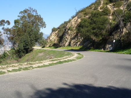 Enlarge photo 62