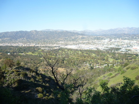Enlarge photo 72