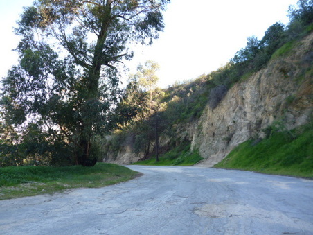 Enlarge photo 75