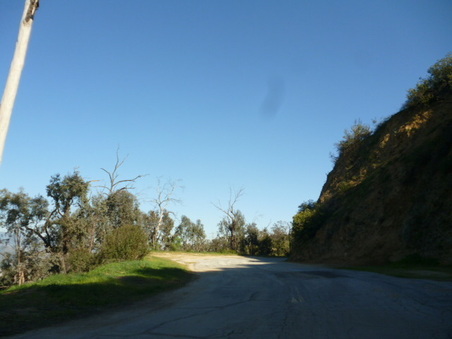 Enlarge photo 77