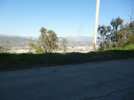 Enlarge photo 78