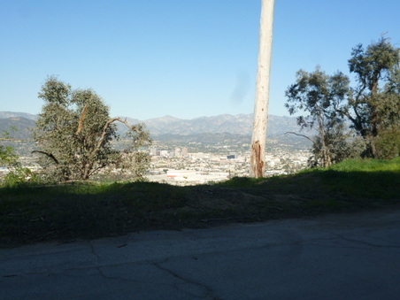 Enlarge photo 79