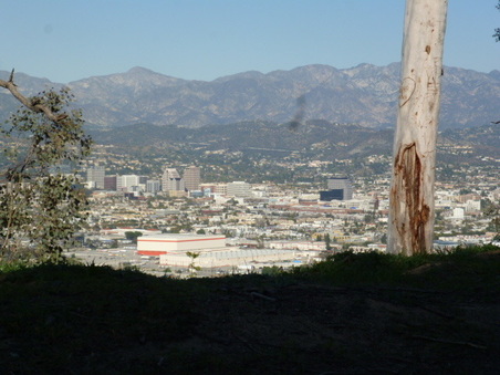Enlarge photo 80
