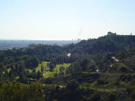Enlarge photo 81