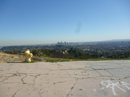 Enlarge photo 20