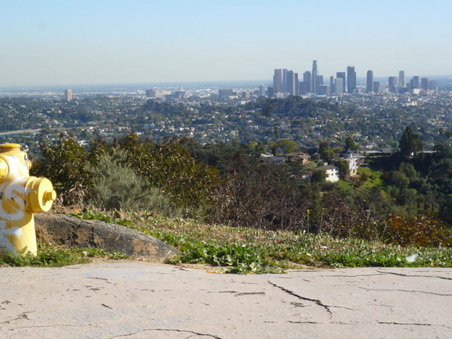 Enlarge photo 21