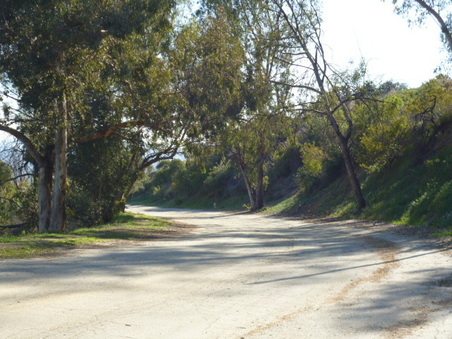 Enlarge photo 83