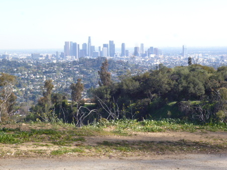 Enlarge photo 92